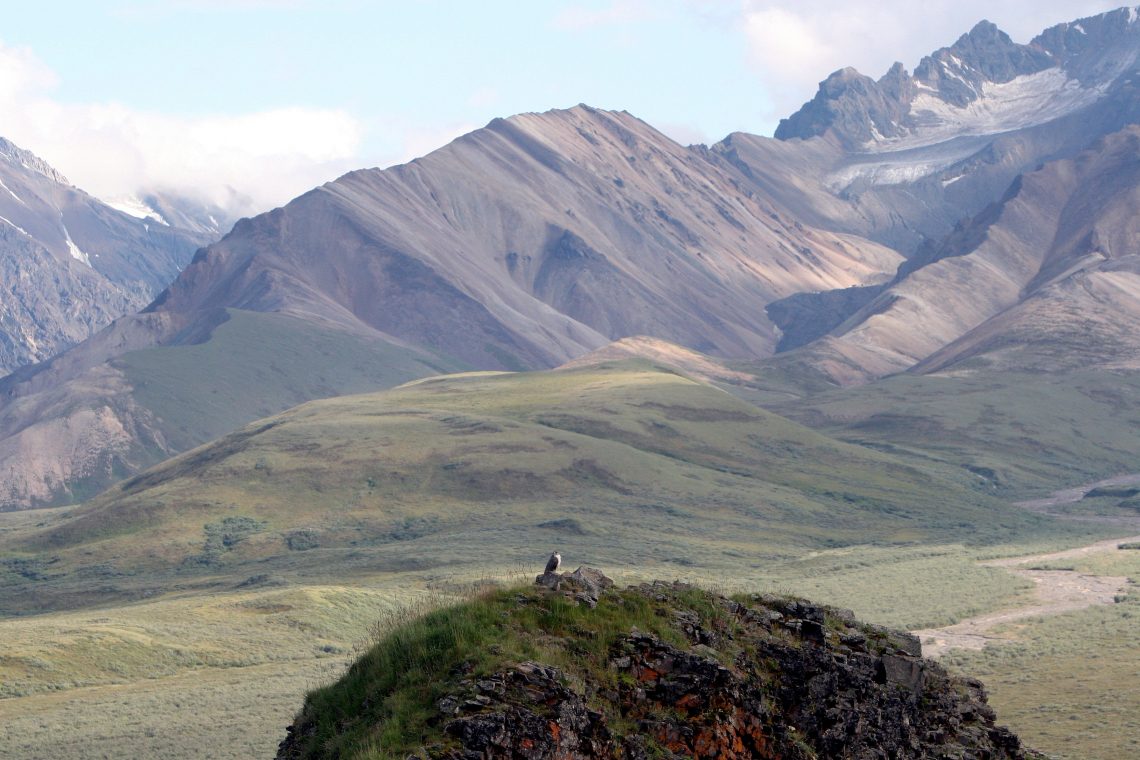 Zgodba o tem, kako je Rusija prodala del svojega ozemlja Združenim državam Amerike