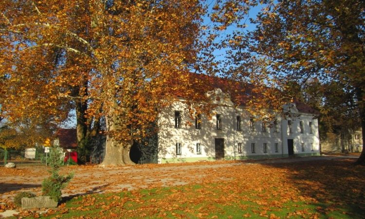 Projekt Zelena cona: Jesen v Drevesnem parku – dogodek za ljubitelje narave, umetnosti in dobrega počutja