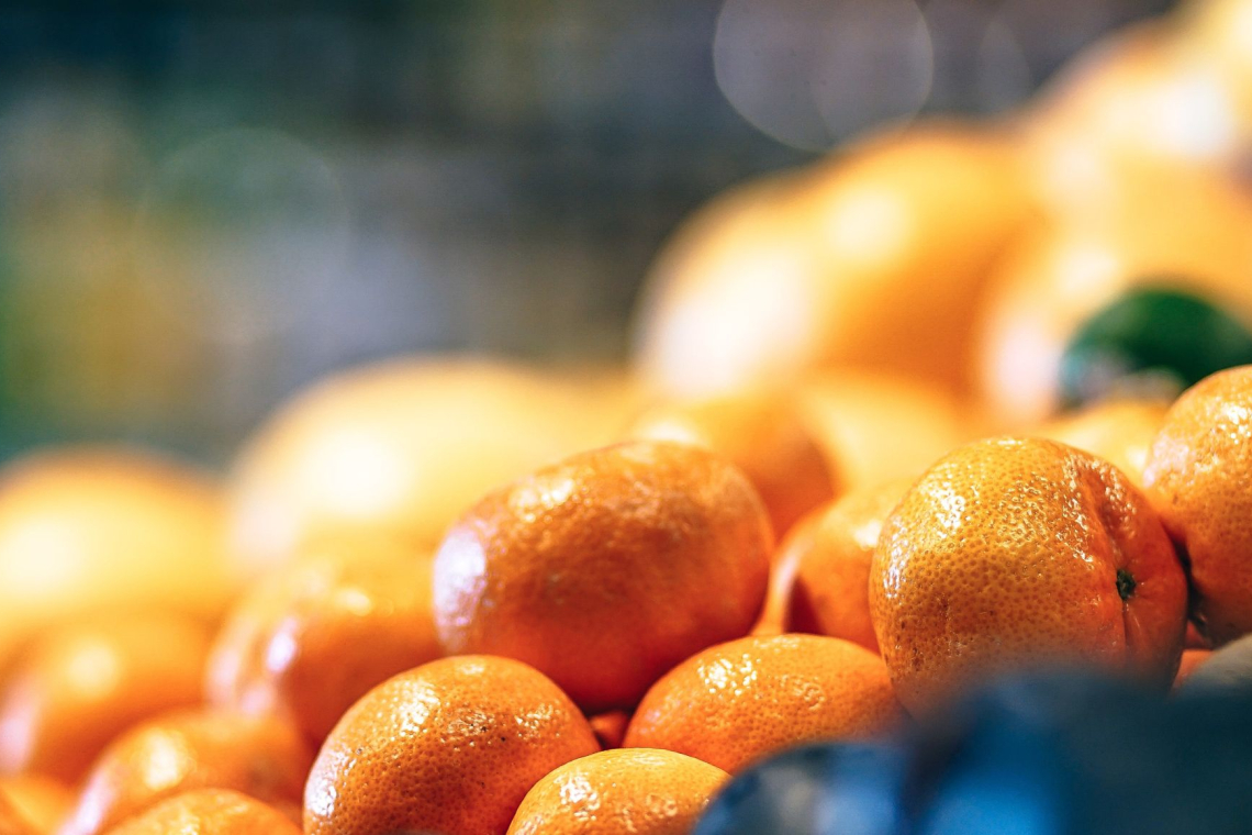 Pomaranče ali mandarine? Katero izbrati za zimsko odpornost?