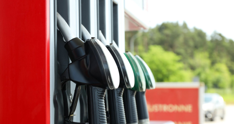 Petrol ob višjem dobičku lani ohranil stabilne prihodke